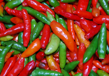 Spice Peppers